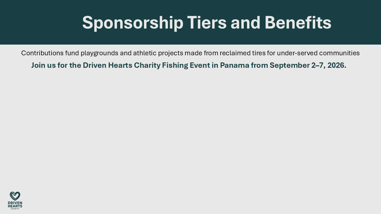 Sponsor Prospectus Slide 11