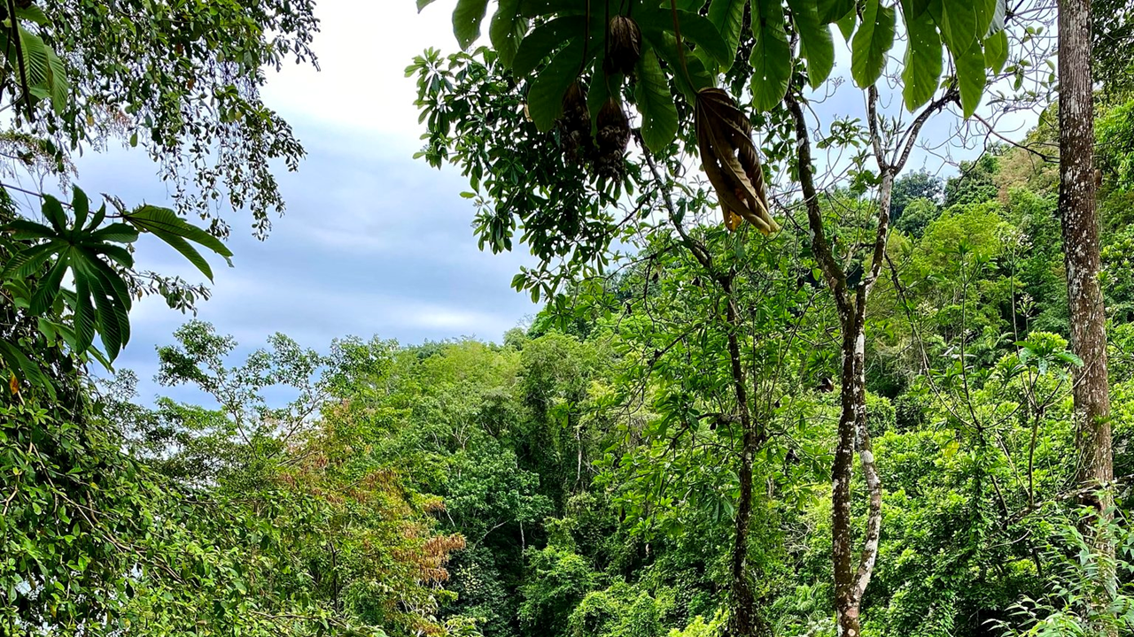 Sponsor Prospectus Slide 9